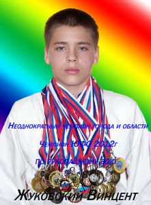 Винцент Жуковский